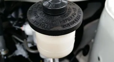 olio